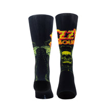 Load image into Gallery viewer, OZZY Skull Socks, 1 PAIR
